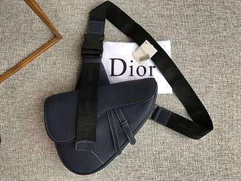 Dior saddle bag 04