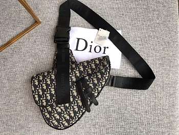Dior saddle bag 05