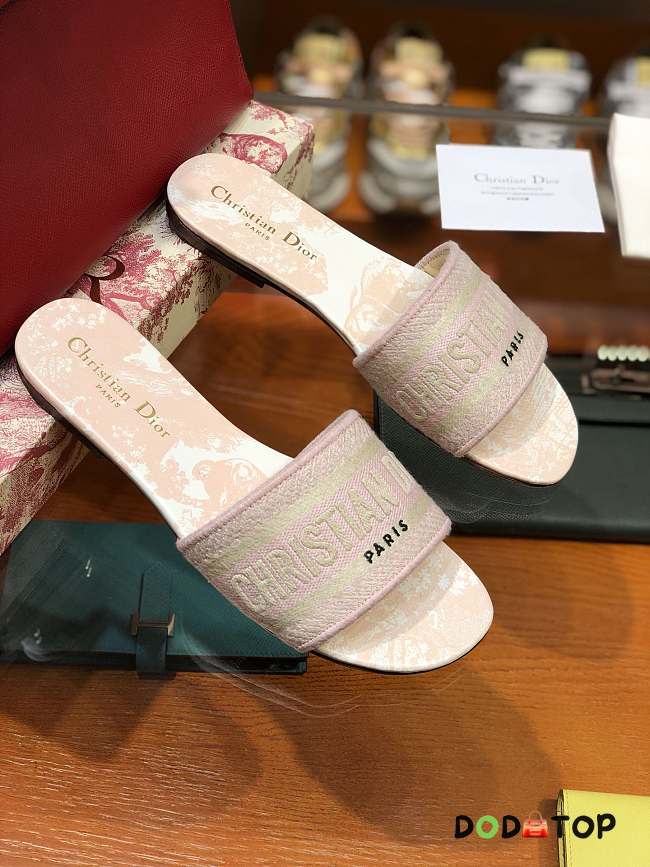 Dior Slippers 001 - 1
