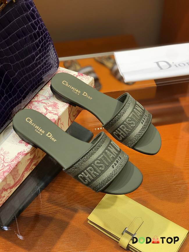 Dior Slippers 019 - 1