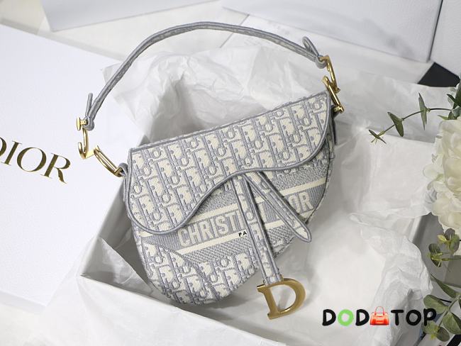 Dior Saddle Oblique bag 002 - 1
