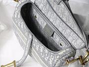Dior Saddle Oblique bag 002 - 3