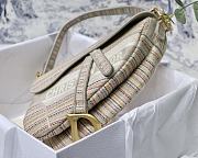 Dior Saddle Bag 003 - 4