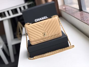 Chanel Wallet On Chain Beige A80982 Size 19 x 13.5 x 3.5 cm