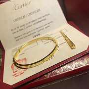 Cartier Love Bracelet - 3