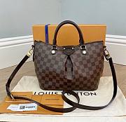 Louis Vuitton Damier Ebene Siena PM Bag N41545 Size 30 x 21 x 12 cm - 1