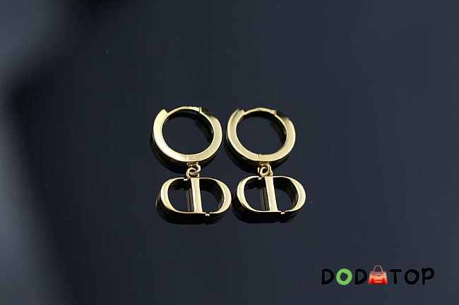 Dior CD Earings - 1