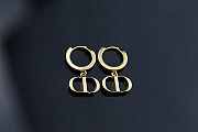 Dior CD Earings - 1