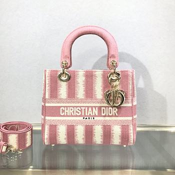 Dior Lady Pink D-Stripes M0565 Size 24 x 20 x 11 cm