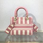 Dior Lady Pink D-Stripes M0565 Size 24 x 20 x 11 cm - 2