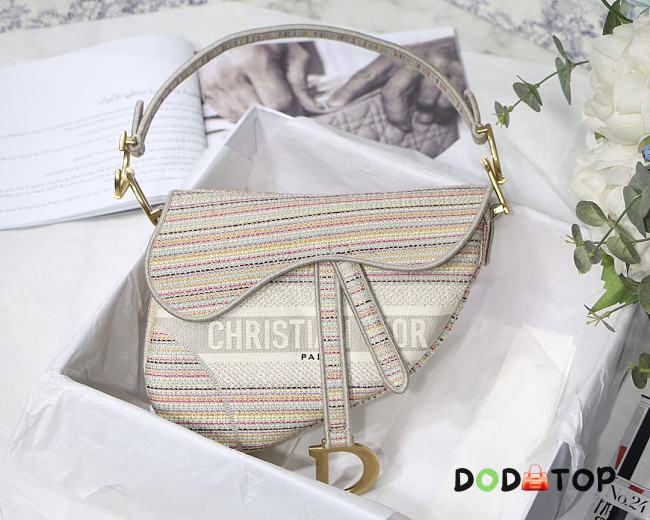 Dior Saddle Multicolor Stripes Embroidery M0446 Size 25.5 x 20 x 6.5 cm - 1
