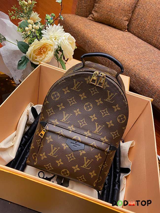 Louis Vuitton Monogram Palm Springs Backpack PM M41560 Size 20x31x10cm - 1