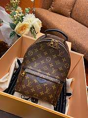 Louis Vuitton Monogram Palm Springs Backpack PM M41560 Size 20x31x10cm - 1