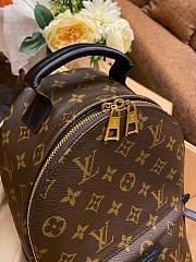 Louis Vuitton Monogram Palm Springs Backpack PM M41560 Size 20x31x10cm - 5
