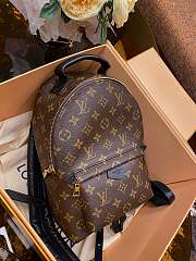 Louis Vuitton Monogram Palm Springs Backpack PM M41560 Size 20x31x10cm - 3