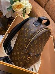Louis Vuitton Monogram Palm Springs Backpack PM M41560 Size 20x31x10cm - 2