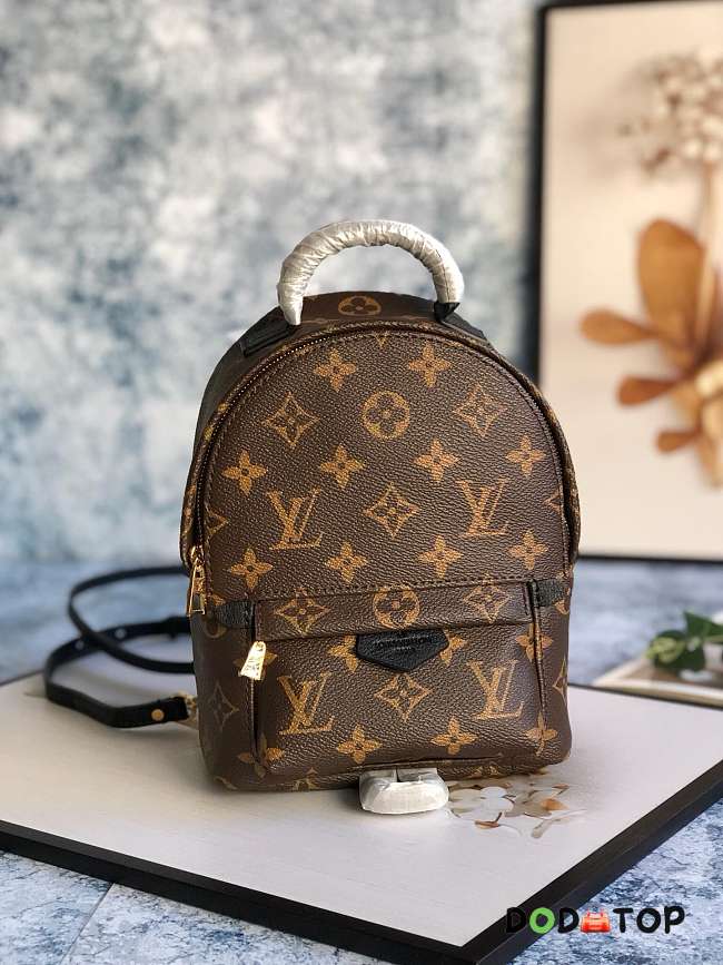 Louis Vuitton Monogram Palm Springs Backpack Mini M41562 Size 15x22x9 cm - 1