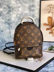 Louis Vuitton Monogram Palm Springs Backpack Mini M41562 Size 15x22x9 cm - 1