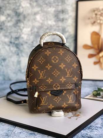 Louis Vuitton Monogram Palm Springs Backpack Mini M41562 Size 15x22x9 cm