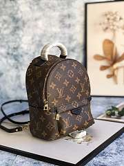 Louis Vuitton Monogram Palm Springs Backpack Mini M41562 Size 15x22x9 cm - 3