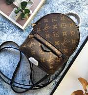 Louis Vuitton Monogram Palm Springs Backpack Mini M41562 Size 15x22x9 cm - 2