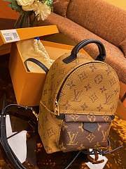 Louis Vuitton Original Monogram Reverse Palm Springs Backpack Mini M42411 - 5