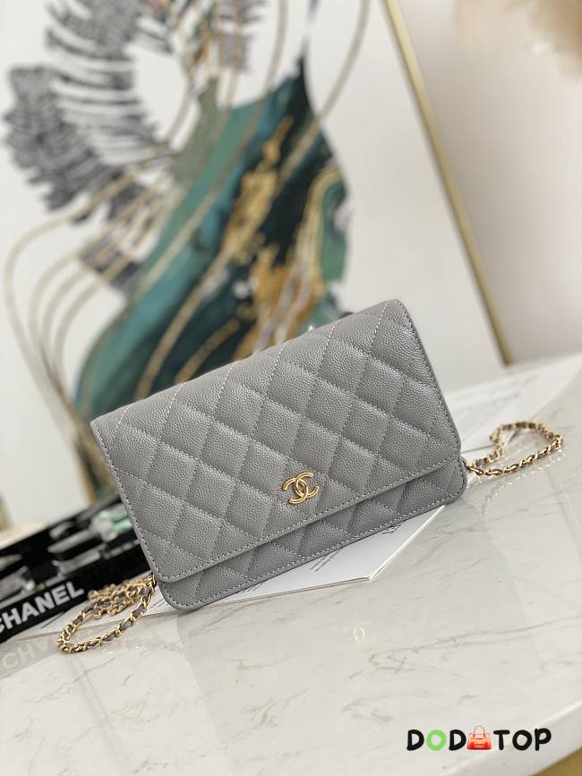 Chanel Wallet On Chain Gray AP2298 Size 19.2 × 12.3 x 3.5 cm - 1
