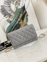 Chanel Wallet On Chain Gray AP2298 Size 19.2 × 12.3 x 3.5 cm - 1