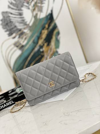 Chanel Wallet On Chain Gray AP2298 Size 19.2 × 12.3 x 3.5 cm