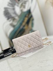 Chanel Wallet On Chain Light Pink AP2298 Size 19.2 × 12.3 x 3.5 cm - 1