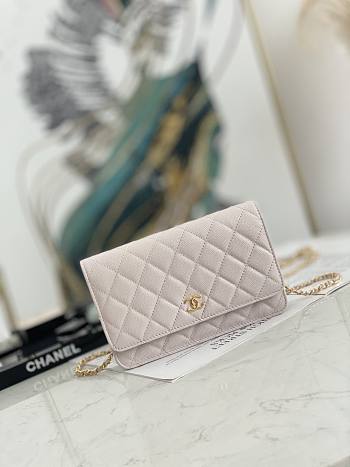 Chanel Wallet On Chain Light Pink AP2298 Size 19.2 × 12.3 x 3.5 cm