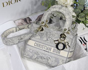 Dior Lady Dior with gold hardware 007