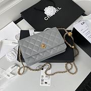 Chanel Wallet On Chain Golden Ball in Gray Size 19 cm - 1