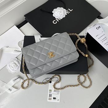 Chanel Wallet On Chain Golden Ball in Gray Size 19 cm