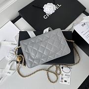 Chanel Wallet On Chain Golden Ball in Gray Size 19 cm - 3