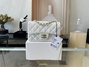 Chanel original lambskin mini flap bag white gold hardware A69900 Size 20 cm
