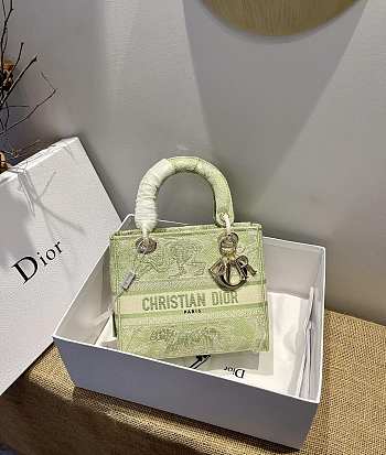 Dior Lady D-Lite Green Size 24 x 20 x 11 cm