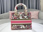 Dior Lady D-Lite Bag Butterfly Embroidery Size 24 x 20 x 11 cm - 3
