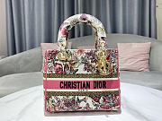 Dior Lady D-Lite Bag Butterfly Embroidery Size 24 x 20 x 11 cm - 5