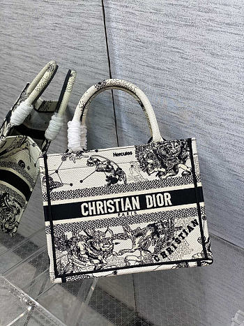 Dior Tote Bag Embroidery Size 26 x 8 x 22 cm