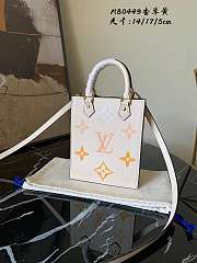 Louis Vuitton Petit Sac Plat Bag 01 Size 14x17x5 cm - 1