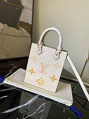 Louis Vuitton Petit Sac Plat Bag 01 Size 14x17x5 cm - 6