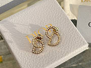 Dior Earrings  - 5