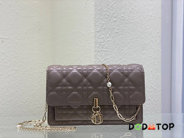 Dior Lady Dior Chain Pouch Grey Size 19.5 x 12.5 x 5 cm - 1