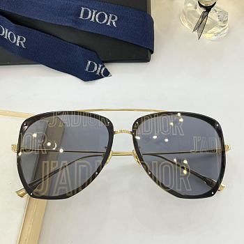 Dior Glasses 01