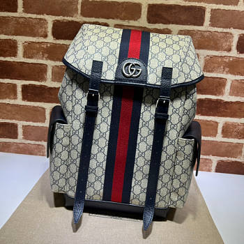 Gucci Ophidia GG Medium Backpack 01 Size 24 x 40 x 16 cm 