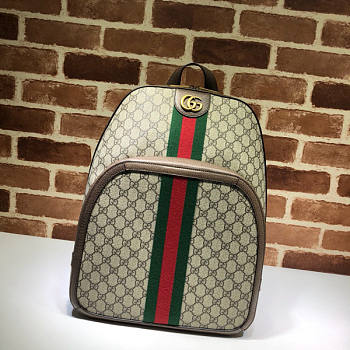 Gucci Ophidia GG Medium Backpack 02 Size 24 x 40 x 16 cm
