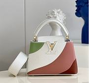 Louis Vuitton Capucines Mini Size 21 x 14 x 8 cm - 1