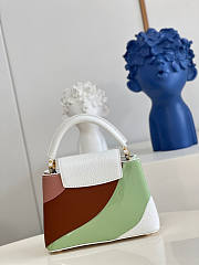 Louis Vuitton Capucines Mini Size 21 x 14 x 8 cm - 4