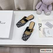 Dior Slippers 14 - 4